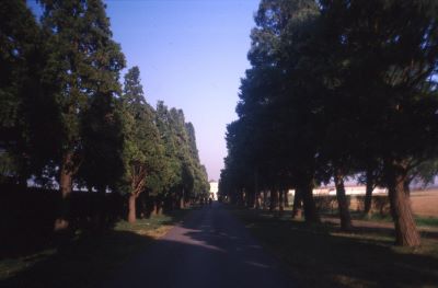 Caravaggio,_viale_del_cimitero.jpg