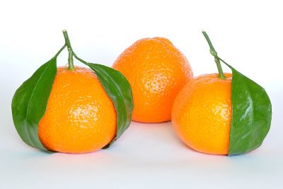 Mandarin_Oranges_(Citrus_Reticulata).jpg