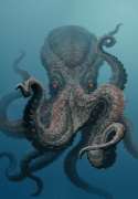 il kraken (filmatidimare.altervista)